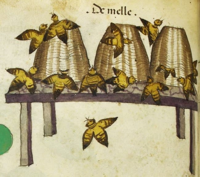 <p>Se pensaba que eran aves pequeñas que no solo producían miel, sino que también tenían batallas contra otras colmenas hostiles. Si una abeja rompía la ley de su colmena, se pensaba que moría por la culpa (British Library). </p>