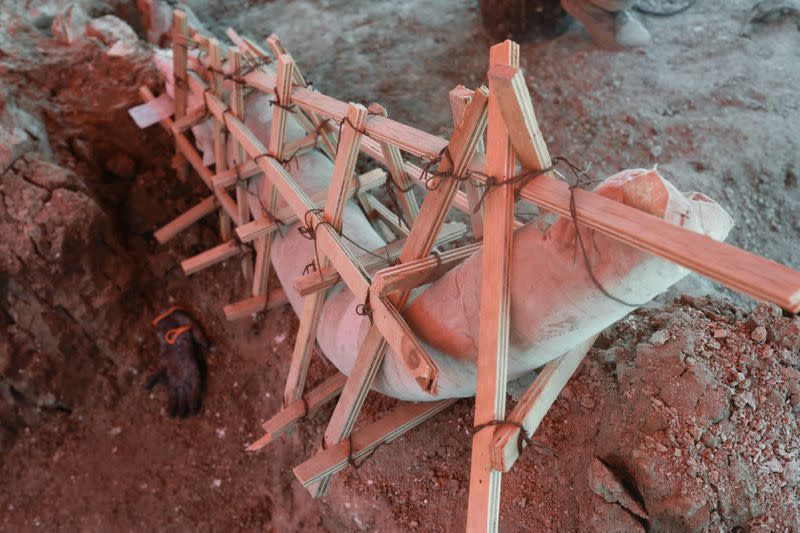 Archaeologists from the National Institute of Anthropology and History (INAH) work at a site where they are unearthing remains of mammoths, in Zumpango