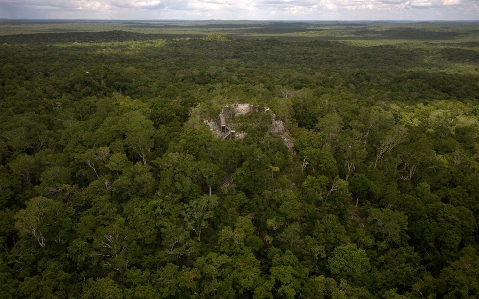 maya el mirador peten guatemala