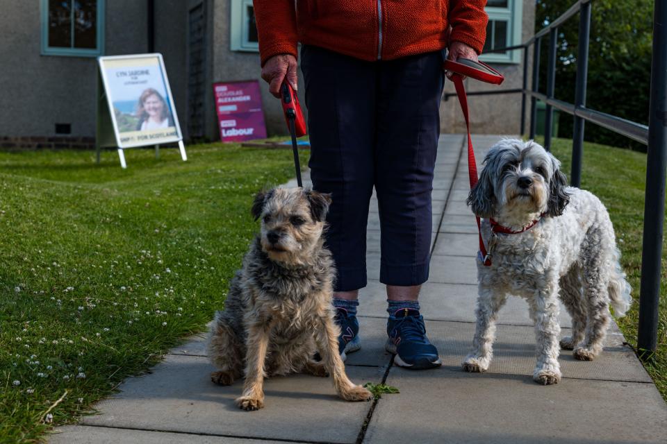 East Lothian, Scotland, UK, 04 July 2024. Dogs at Polling Places: the tradition of photographing dogs kicks off general election day. Pictured: Hattie (L) aged 9 years and Fossel (R) at the village hall polling place in Athelstaneford. Credit: Sally Anderson/Alamy Live News