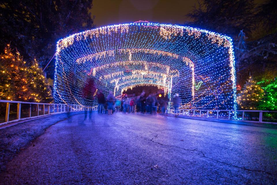 The Austin Trail of Lights brightens up Zilker Park every holiday season.