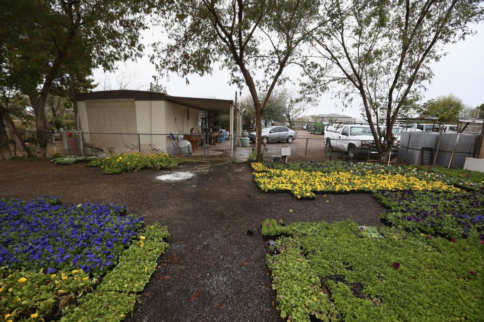 A Phoenix woman has been arrested on suspicion of killing her three children after they were found dead inside the family home at this location Tuesday, Jan. 21, 2020, in Phoenix. (AP Photo/Ross D. Franklin)