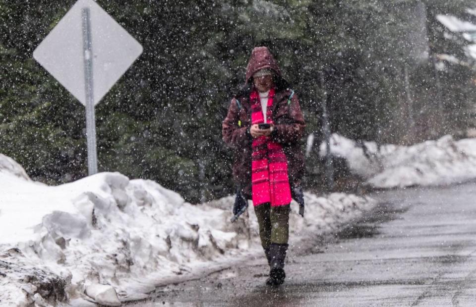 Lydia Samaniego, who lives on Strawberry Road in El Dorado County, walks to her house as snow falls on Thursday, Feb. 29, 2024. She said she was leaving for San Francisco with friends to escape the forecast blizzard.