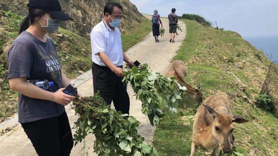 圖／畫面翻攝馬祖日報