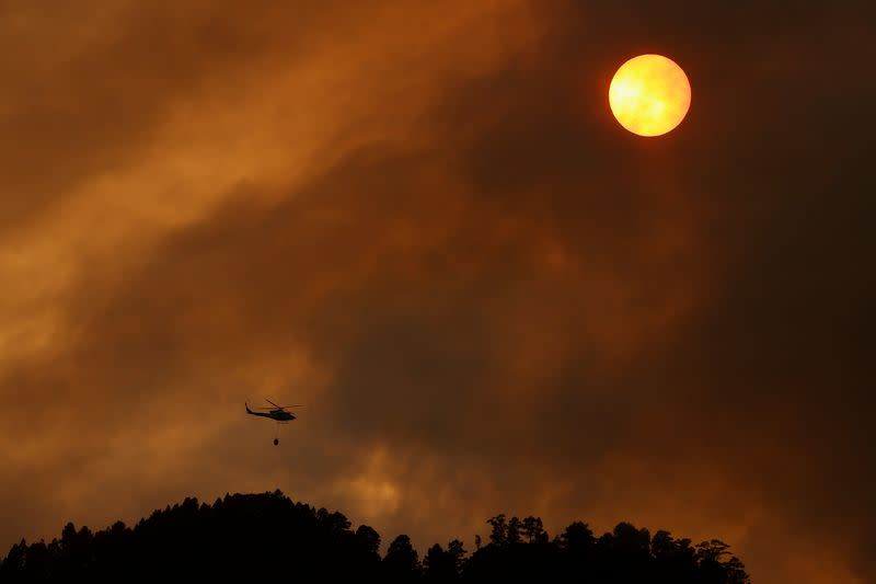 A helicopter dumps water on a forest fire in Candelaria on the island of Tenerife