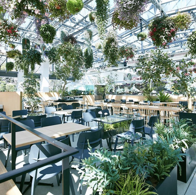 A Starbucks store inside a greenhouse at Yomiuriland’s Hana Biyori flower park in Tokyo, Japan. (Photo: Hana Biyori/Instagram)