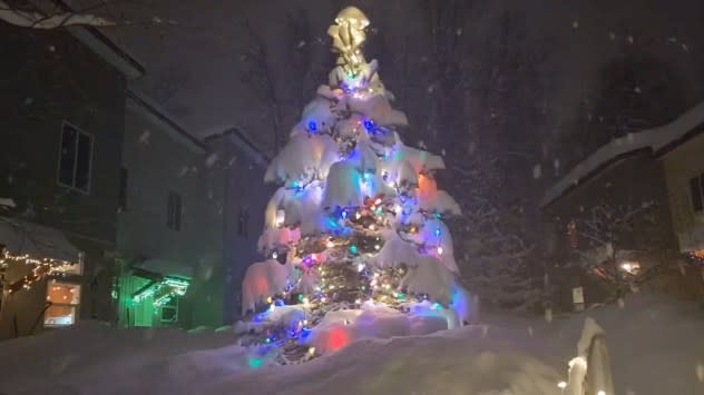 Snow falls on a Christmas tree in Anchorage, Alaska, Dec. 12, 2023. (Brian Brettschneider)