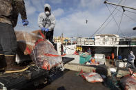 Opah fish are hauled onto a dock for sale Friday, March 20, 2020, in San Diego. Fishermen coming home to California after weeks at sea are find a state all but shuttered due to coronavirus measures, and nowhere to sell their catch. A handful of boats filled with tens of thousands of pounds of fish are now floating off San Diego's coast as they scramble to find customers. (AP Photo/Gregory Bull)