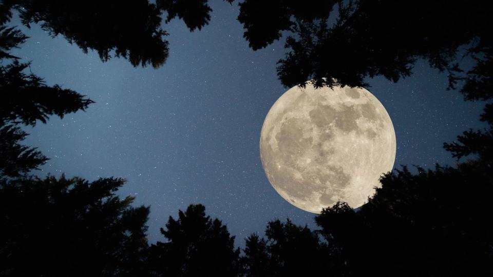 full super moon over forest