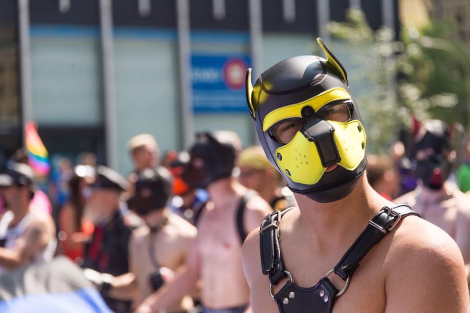 man in pup mask and harness