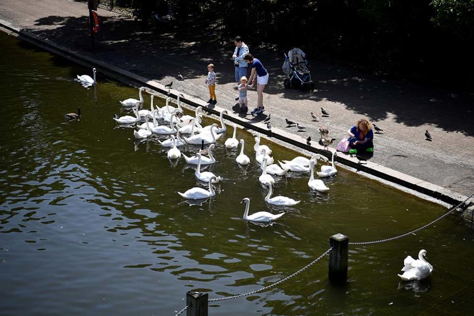 倫敦海德公園（Image Source : REUTERS/Beresford Hodge）