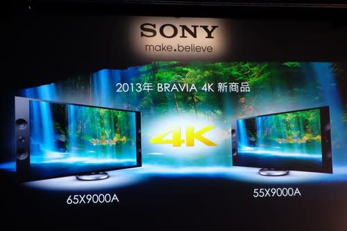 新黑魅學精緻工藝Sony 2013 BRAVIA 新品發表會