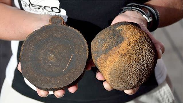 Manganese nodules discovered on the deep seafloor in January 2015. Photo: Reuters/Thomas Walter