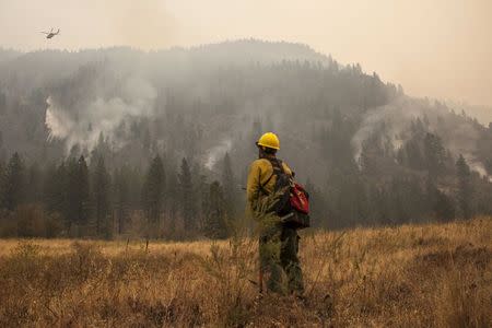 Justin Haug, manager of the Sinlahekin Wildlife Area, watches a helicopter fight the Okanogan Complex fire as it burns through the Sinlahekin Wildlife Area near Loomis, Washington, August 25, 2015. REUTERS/David Ryder