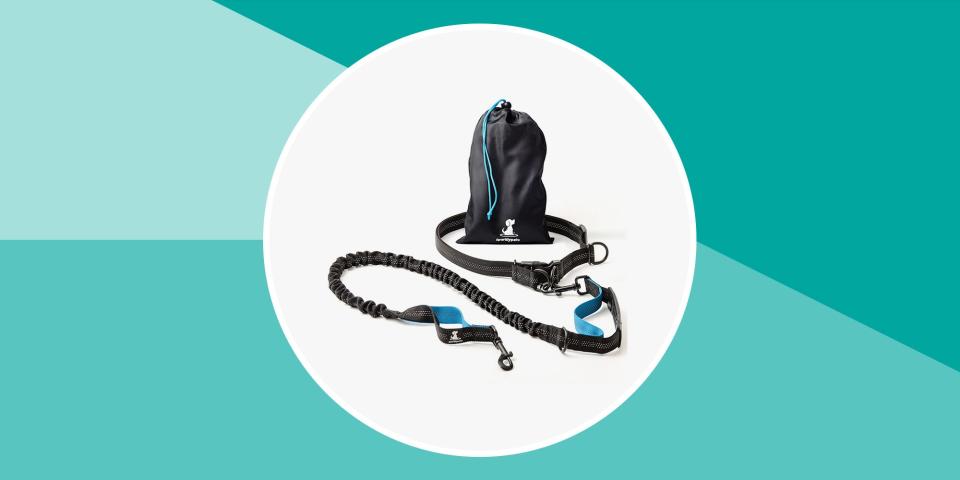 The 14 Best Dog Leashes & Harnesses For Running