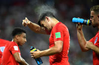 <p>Harry Maguire of England sprays himself with insect repellant during the 2018 FIFA World Cup Russia group G match between Tunisia and England at Volgograd Arena on June 18, 2018 in Volgograd, Russia. (Photo by David Ramos – FIFA/FIFA via Getty Images) </p>