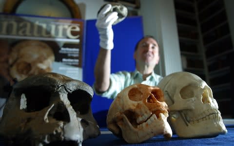 Homo erectus (left) had a far larger jaw than modern humans (far right) - Credit: Abbie Trayler-Smith&nbsp;