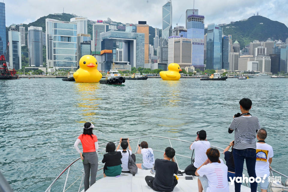 鴨迷們在船頭觀賞黃鴨暢游維港，不時自拍合照留念