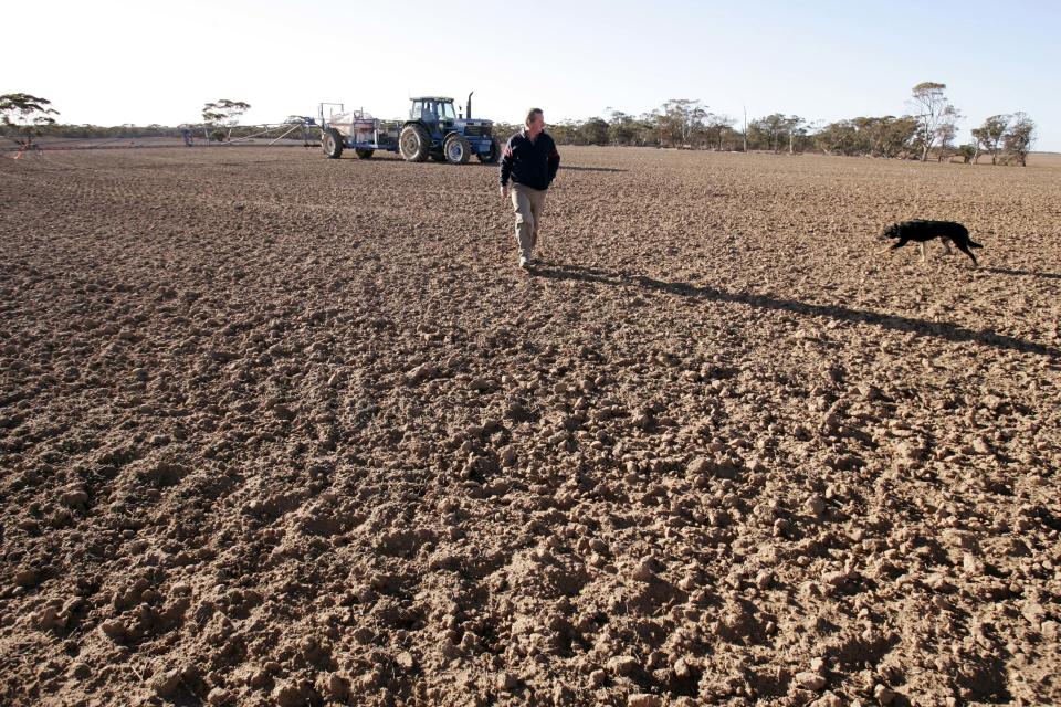 A farmer walks across dusty cropland. (Source: AP)