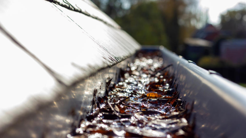 A gutter filled with leaves and moisture