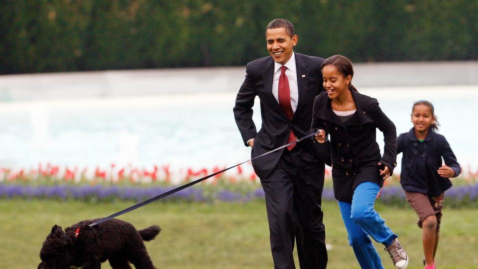 Malia Obama 2009 mit Familienhund Bo,   gefolgt von damaliger US-Präsident Barack Obama und Sasha Obama.