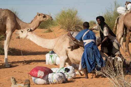 Farming and animal husbandry are crucial to the local economy on Mauritania's border with Mali