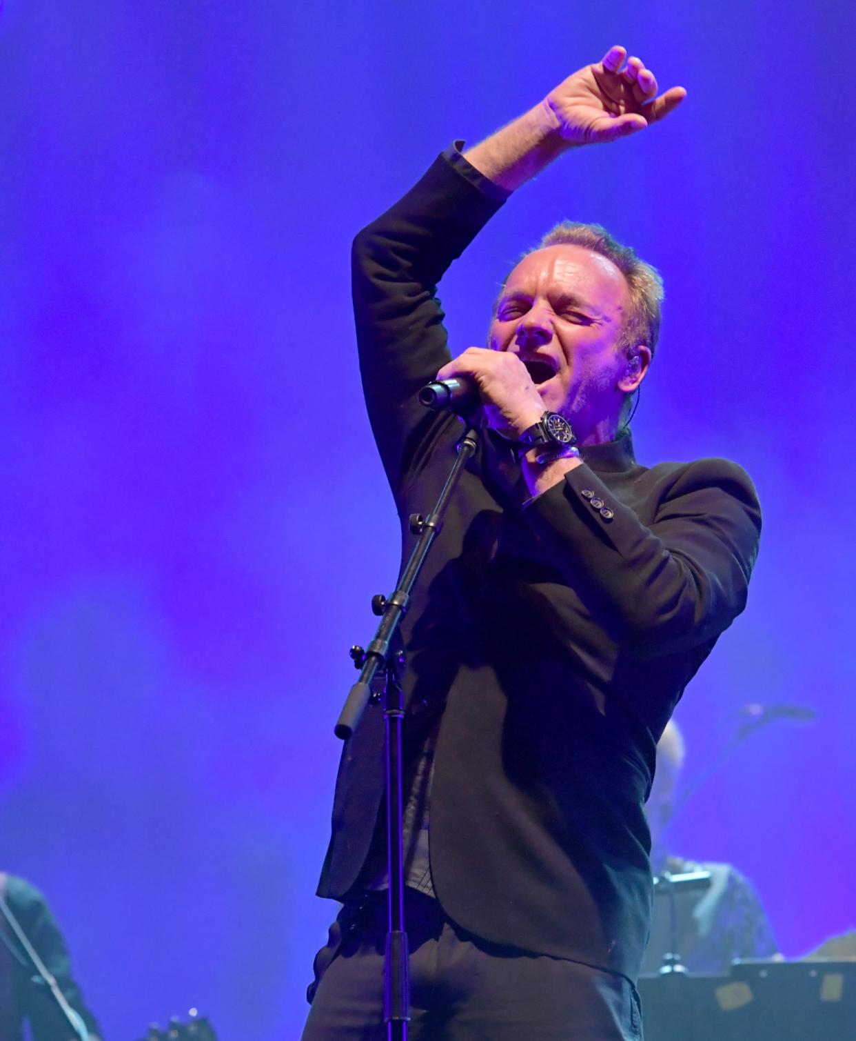 Sting (photo: Lester Cohen/WireImage)