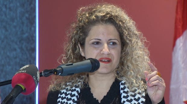 Mount Allison University has launched an internal review after complaints about the personal blog of health psychology professor Rima Azar. (Brian Chisholm/CBC News file photo - image credit)