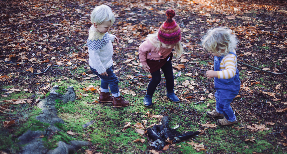 Three young girls look down at a dead bird.