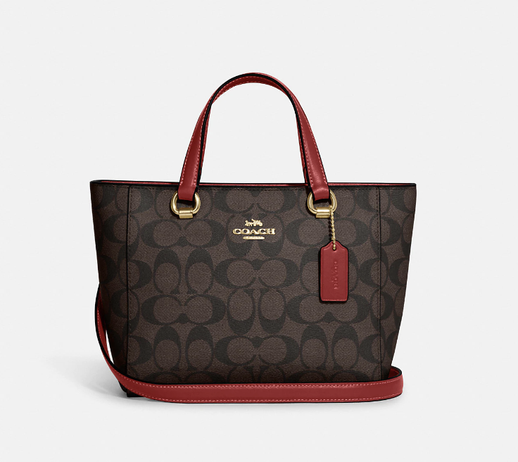 Alice Satchel In Signature Canvas (Photo via Coach Outlet)