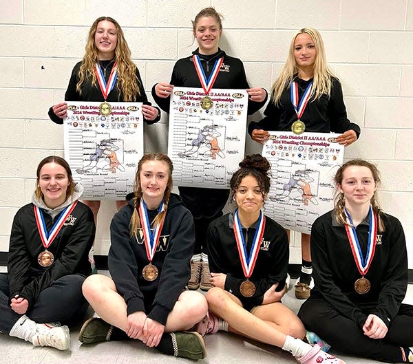 Seven Lady 'Cat wrestlers medaled at the 2023-24 District 2 girls tournament. Pictured are (first row, from left): Addy Pruss, Savannah Mayes, Katelyn Nunez, Summer Paugh. Second row: Lexi DeSiato, Sara Shook, Mia Gifford.