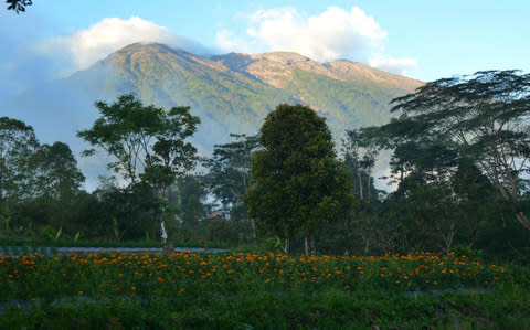 Mount Agung from Karangasem on the Indonesian resort island of Bali - Credit: SONNY TUMBELAKA/AFP/Getty Images