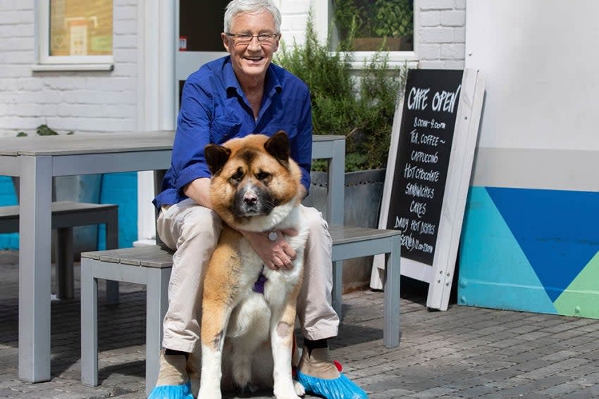 Paul O'Grady returns to Battersea to show the pooches some much-needed love (ITV)