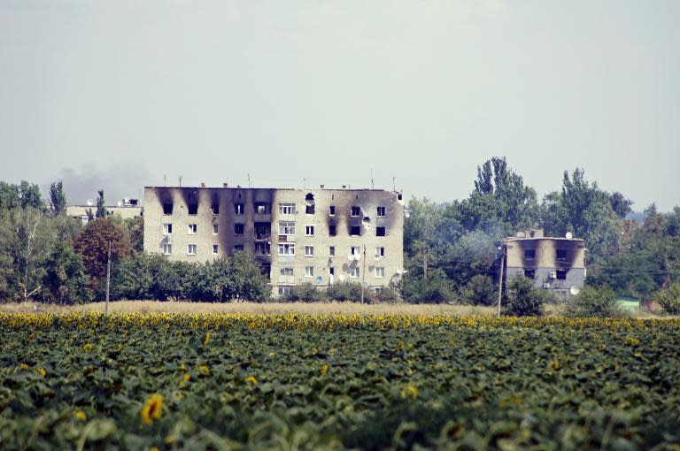 A picture shows a burnt buildings in the village of Maryinka, a suburb of Donetsk in eastern Ukraine, on August 5, 2014
