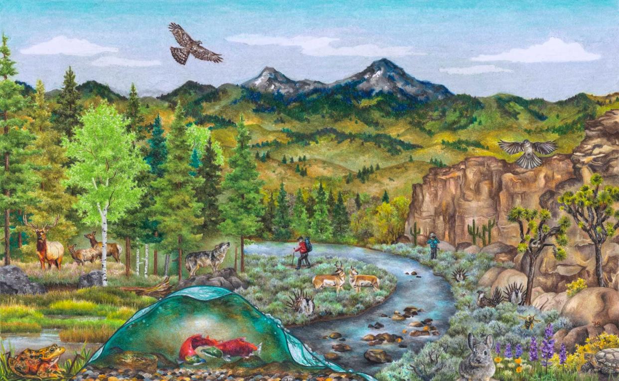 "Endangered West" by Taelyn B., is an award-winning contribution to the Fifth National Climate Assessment's art contest. The artist, an 11th grader from Boise, Idaho, wrote that "my drawing depicts 11 endangered species and their different ecosystems found in the Western United States. I hope viewers come away with an appreciation for our Western wild places and the importance of biodiversity and healthy ecosystems threatened by climate change and habitat loss."