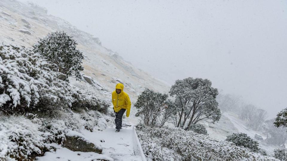 A cold front has seen snowfall at ski resorts across NSW and Victoria. Picture: Supplied