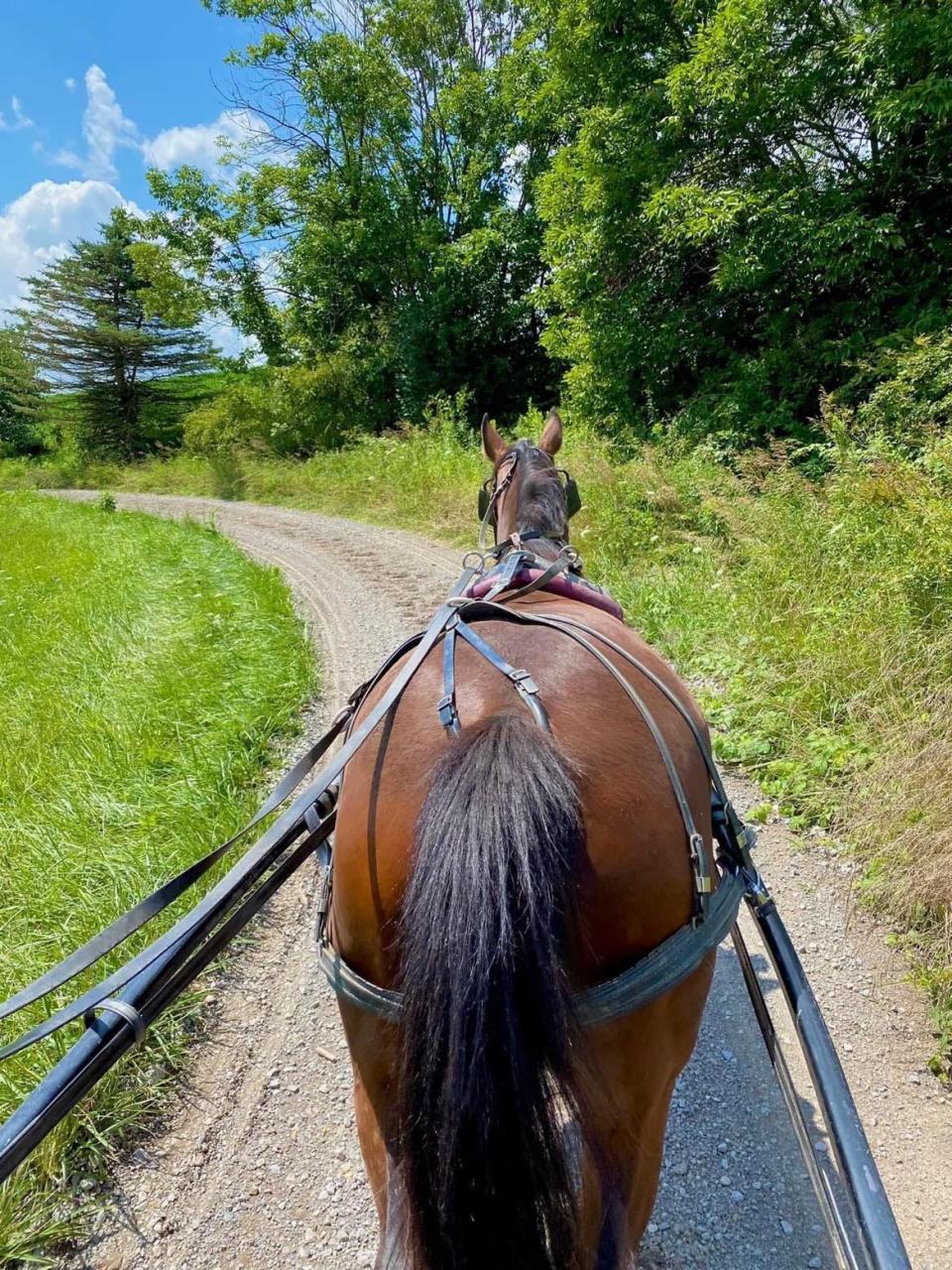 Buggy rides are among the attractions in Amish country, including Berlin, Walnut Creek, Sugarcreek and Millersburg.