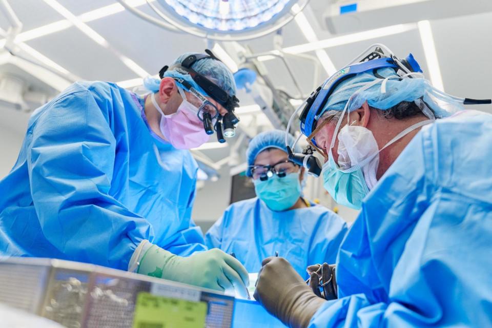 PHOTO: Dr. Jeffrey Stern and Dr. Robert Montgomery, prepare the gene-edited pig kidney with thymus for transplant into Pisano on April 12, 2024, at NYU Langone Health’s Kimmel Pavilion. (Joe Carrotta for NYU Langone Health)