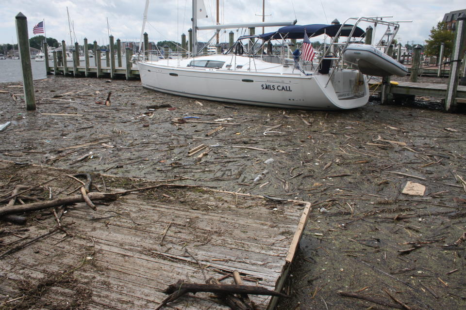 Debris washed into Maryland waters from record rainfall accumulates around a sailboat in Annapolis, Md., on Wednesday, Aug. 1, 2018. Maryland Gov. Larry Hogan said he will raise the issue of upstream states failing to take responsibility for pollution pouring into the Chesapeake Bay at a meeting next week of representatives from six states in the bay's watershed. (AP Photo/Brian Witte)