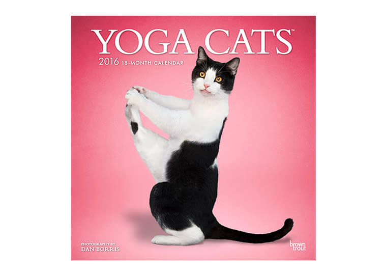 Yoga Cats Calendar