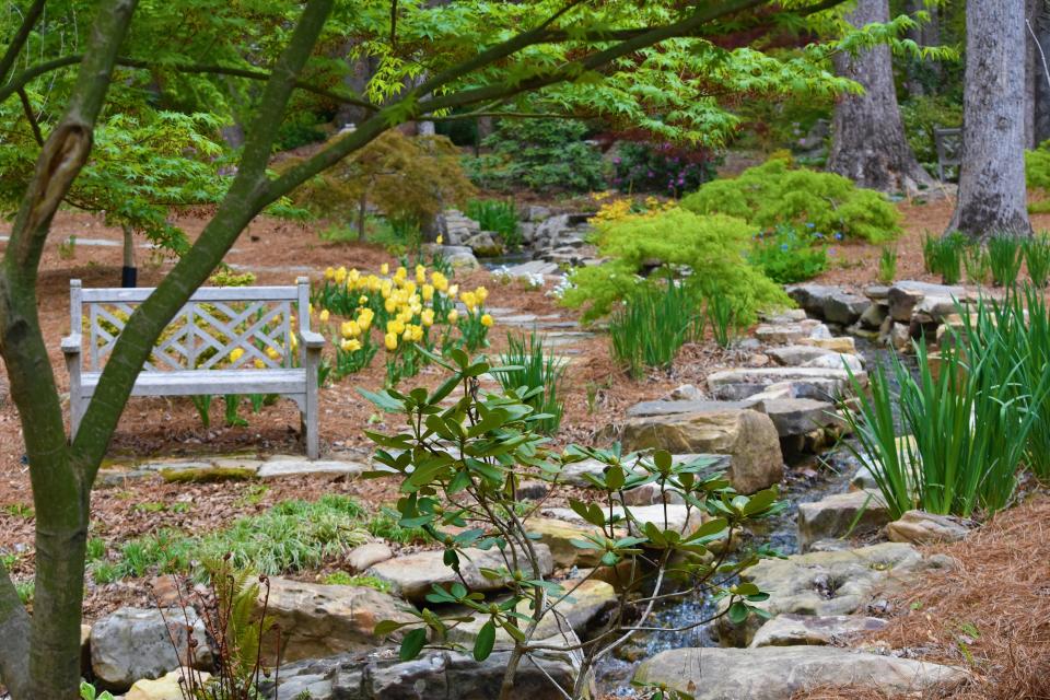 The stream is bordered by rocks and boulders at Betty Montgomery's garden in Campobello SC. April 2022.