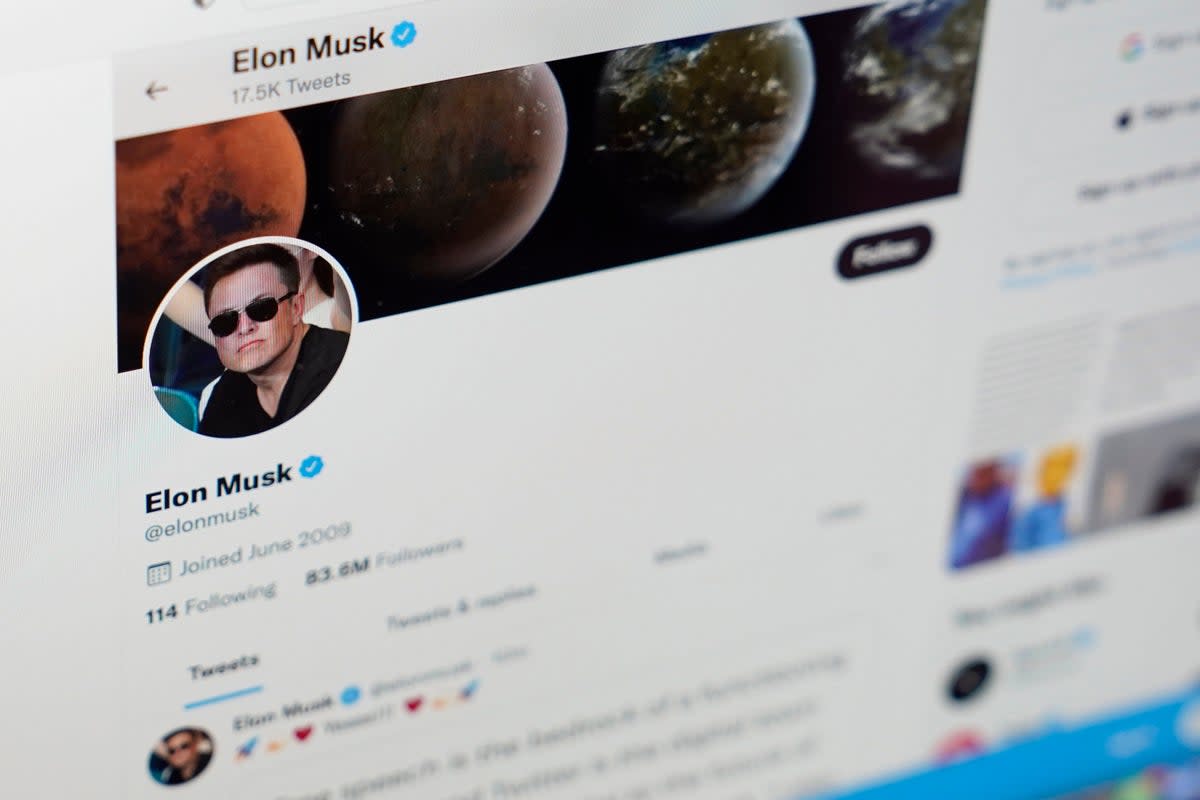 Twitter Musk (Copyright 2022 The Associated Press. All rights reserved)