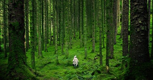 <span class="caption">Breathe in the fresh forest air.</span> <span class="attribution"><a class="link " href="https://unsplash.com/photos/nadEf7Yjb_Q" rel="nofollow noopener" target="_blank" data-ylk="slk:Luis Del Rio Camacho/Unsplash;elm:context_link;itc:0;sec:content-canvas">Luis Del Rio Camacho/Unsplash</a>, <a class="link " href="http://creativecommons.org/licenses/by-nc/4.0/" rel="nofollow noopener" target="_blank" data-ylk="slk:CC BY-NC;elm:context_link;itc:0;sec:content-canvas">CC BY-NC</a></span>