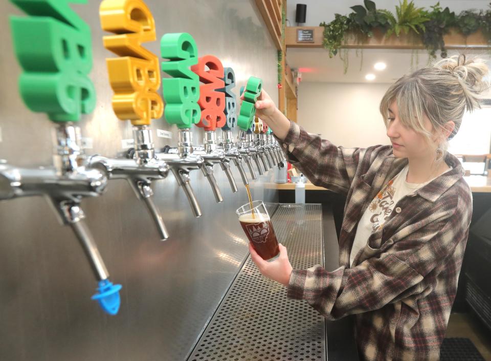 Green Valley Brewing Company bartender Sharkayla Bender pours a beer on Wednesday.