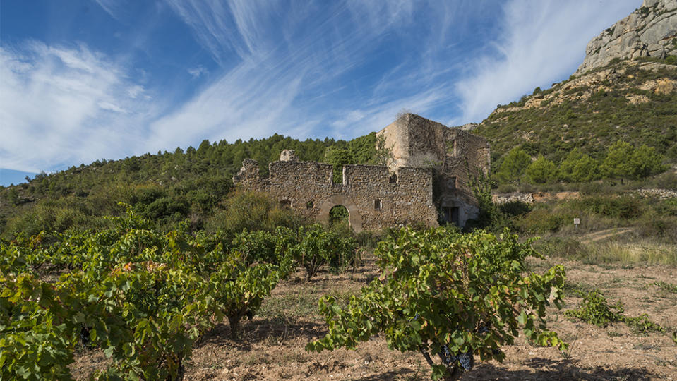 The wine region Priorat in Spain is known for the minerality of its wine.