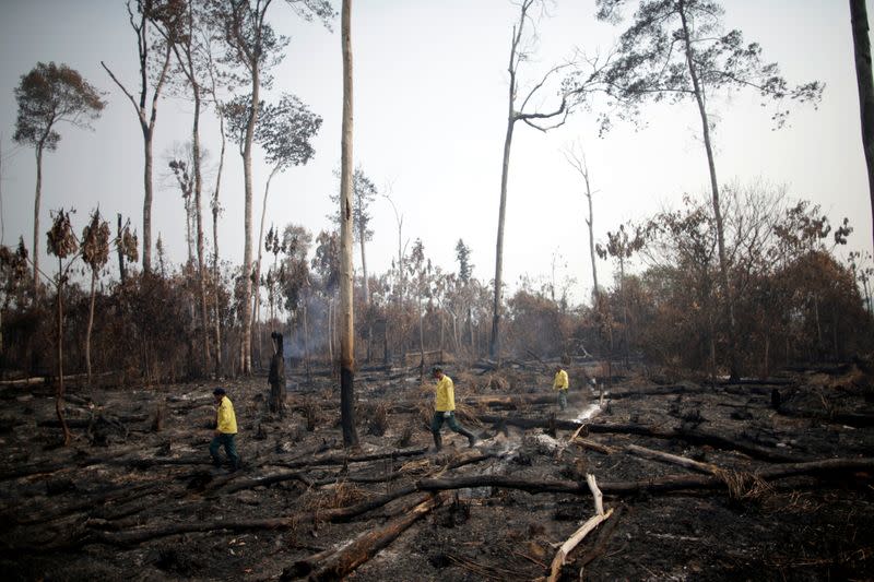 Brazilian Institute for the Environment and Renewable Natural Resources (IBAMA) fire brigade members walk in a burned area near Apui