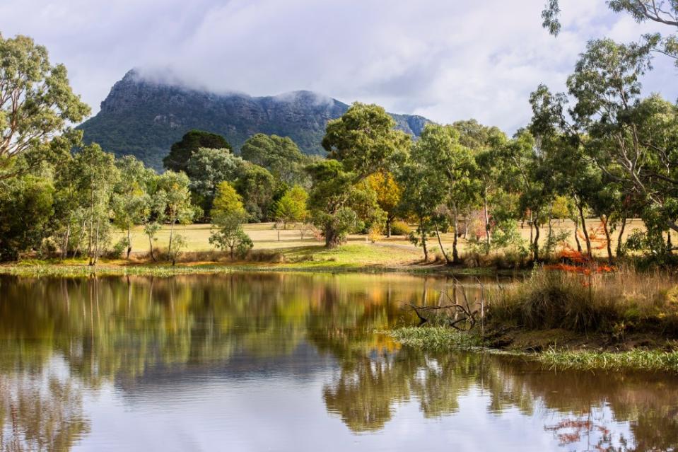 Taylor Mountain Regional Park via Getty Images