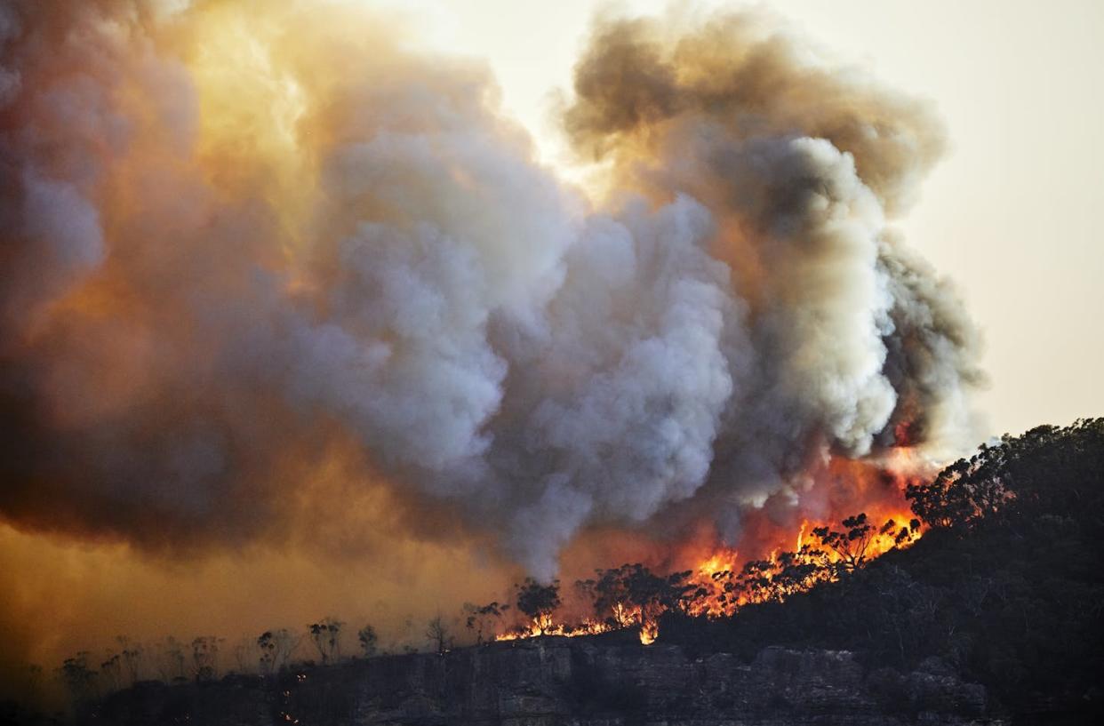 Climate change is causing extreme weather, prolonged droughts and more bushfires. <a href="https://www.gettyimages.com/detail/photo/forest-fire-bushfire-with-flames-and-sun-royalty-free-image/1192659783?phrase=apocalypse+climate+change&adppopup=true" rel="nofollow noopener" target="_blank" data-ylk="slk:Andrew Merry/Moment via Getty Images;elm:context_link;itc:0;sec:content-canvas" class="link ">Andrew Merry/Moment via Getty Images</a>