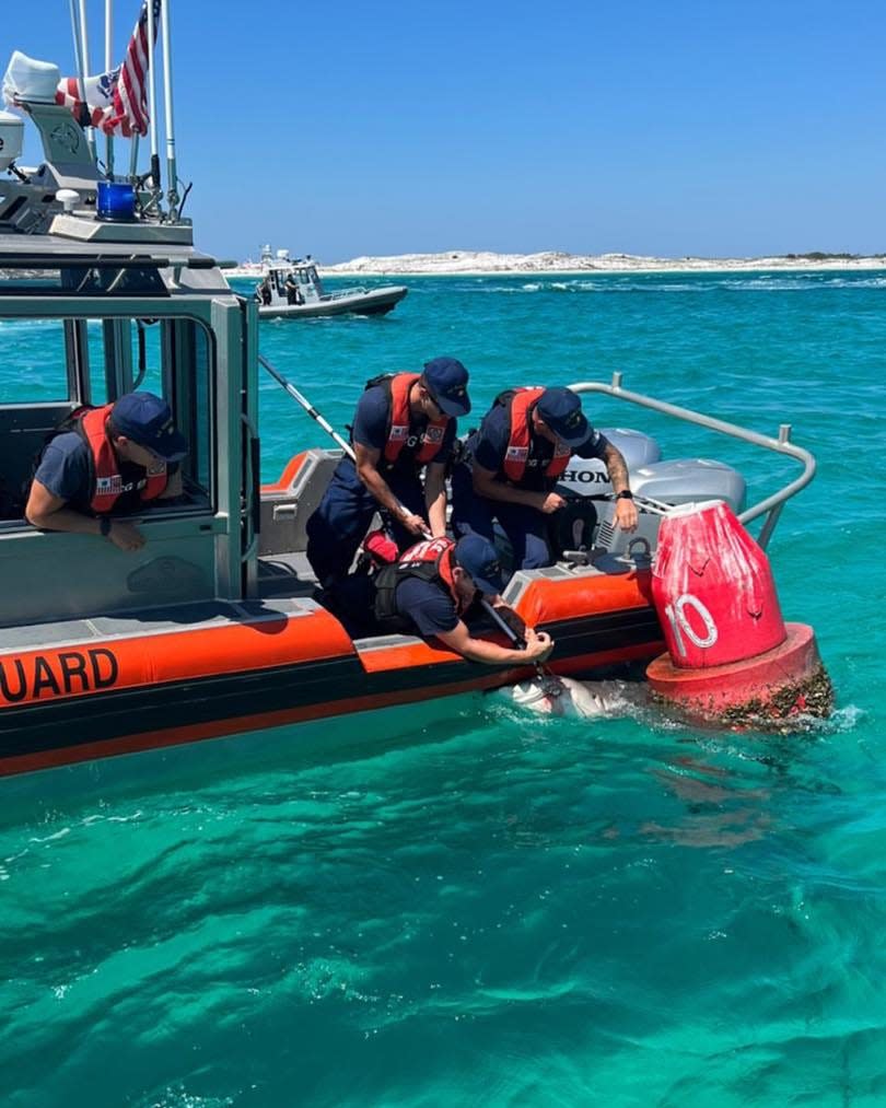 A Coast Guard Station Destin crew rescues a shark trapped in a fishing net while on a routine voyage June 16.