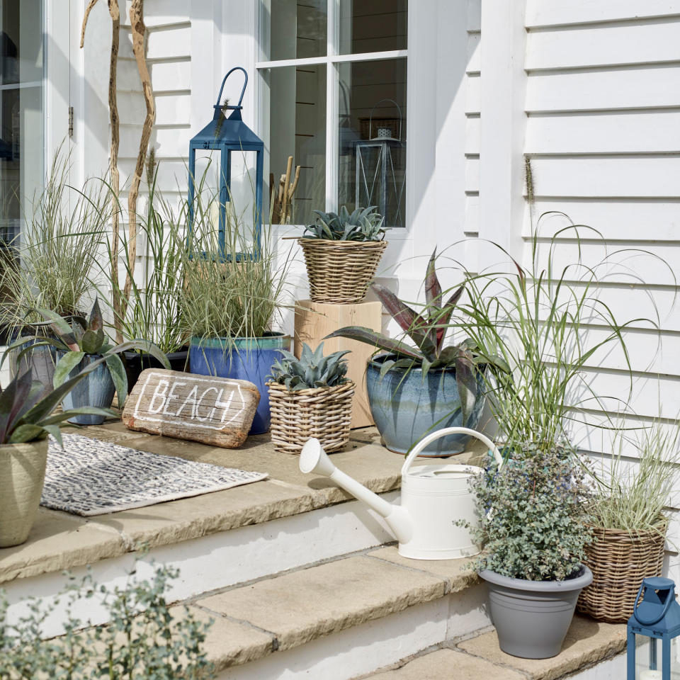 Green up your patio